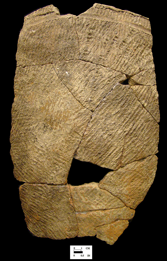 Popes Creek cord-marked mended vessel fragments from Hamilton Collection, 18CH58.